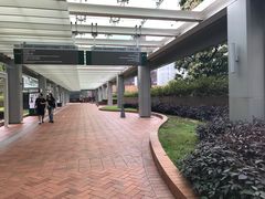 -香港大学