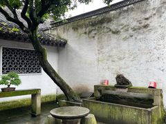 -绍兴鲁迅故里·沈园景区