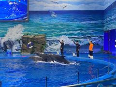 -多彩贵州城极地海洋世界