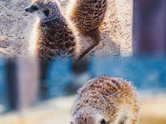 -茅山东方盐湖城景区