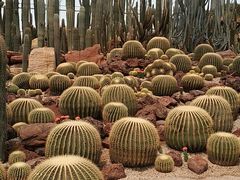 -南通洲际绿博园