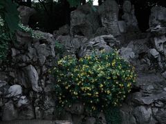 -艺圃