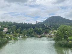 -牛首山文化旅游区