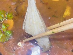 -耗儿不是鱼(海骏达城店)