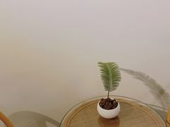 -微饮cafe