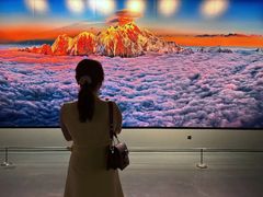 -罗红摄影艺术馆