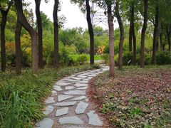 -上海吴淞炮台湾国家湿地公园