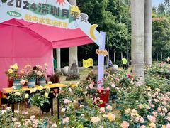 -人民公园(罗湖区)