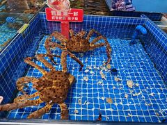 -渔港甄宴·海鲜·地标烟台菜(金沙滩店)