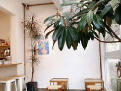 -怪 kafe.