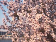 -海河游船(古文化街码头)