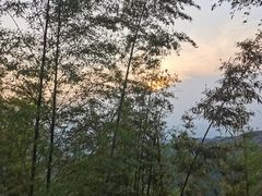 -蜀南竹海景区