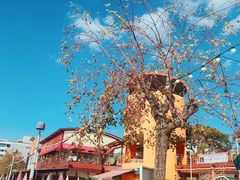 -海鮮市場長崎港(出島ワーフ店)