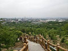 -白水寺森林公园