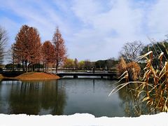 -上海辰山植物园