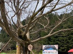 -四明山国家森林公园