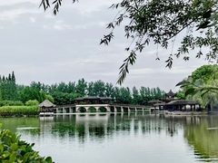 -沙家浜风景区