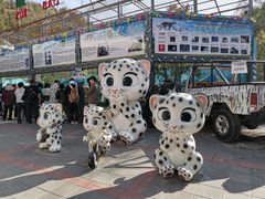 -青藏高原野生动物园