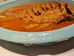 -阿五黄河大鲤鱼(英协路店)