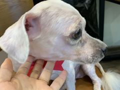 -喵汪宠物生活馆(涞坊路店)