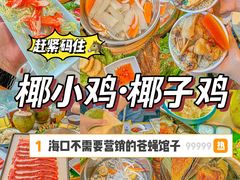 -椰小鸡·琼州糟粕醋·火锅(美兰缤纷城店)