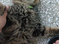 -拜鲁耶动物诊疗中心·宠家动物医院