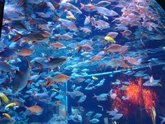 -成都浩海立方海洋公园