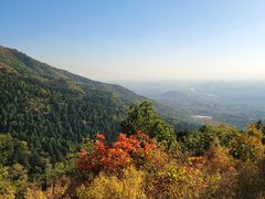 -北京十三陵国家森林公园蟒山景区