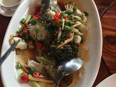 -顺德了能馆(虎门店)