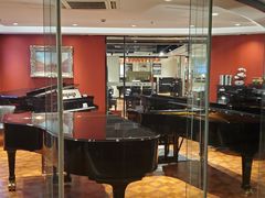 -柏斯琴行(汾阳店)
