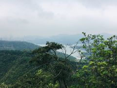 景点-梧桐山风景名胜区