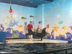 -太平洋海底世界