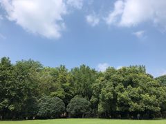-灵谷景区