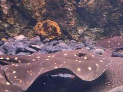 -华夏文旅西安度假区