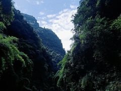 -三峡人家风景区
