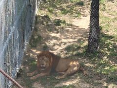 -西霞口神雕山野生动物世界