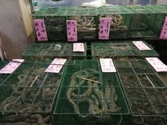 -荔城生鲜盛宴(番禺旗舰店)