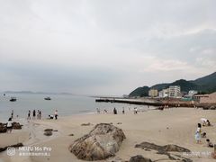 -杨梅坑
