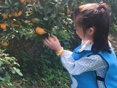 -前小桔亲子创意农场·草莓采摘·露营烧烤