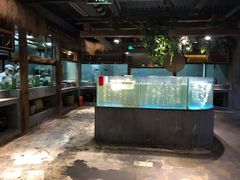 水产区-丹江渔村(首都机场店)