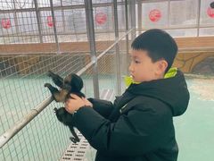 -南京汤山紫清湖生态旅游温泉度假区