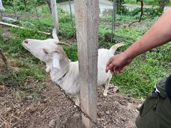 -美家乐农庄·露营·团建(大治路店)