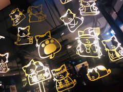 -猫爪爪原切自助烤肉(观音桥阳光世纪店)