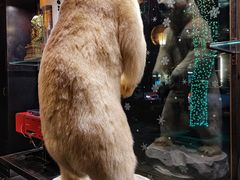 -drivepro(新天地北里店)