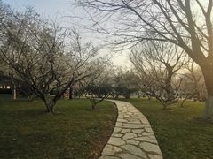 -堤角公园