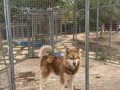 -武汉紫薇都市田园