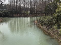 -贡湖湾湿地公园