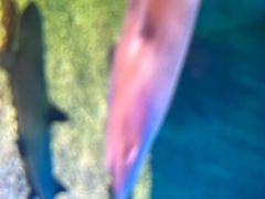 -华夏文旅西安度假区