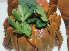 -呼吸森林·生态农庄农家乐私房菜