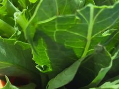 -楚成谷鸭馆(裕民店)